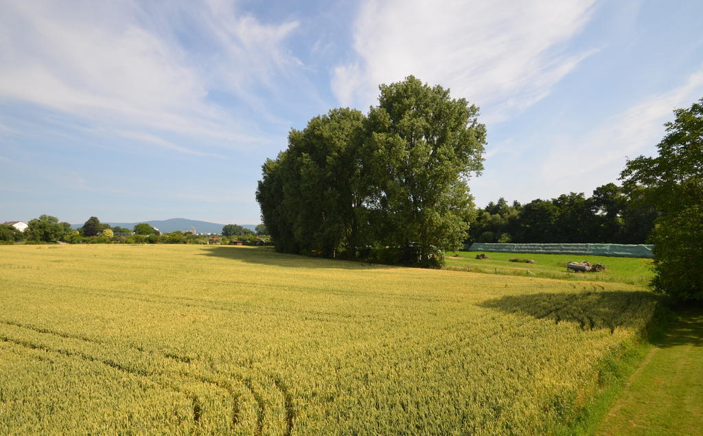 Landhotel Sulzbacher Hof Sulzbach  Zewnętrze zdjęcie